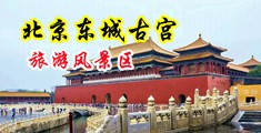 亚洲精品黄色高潮网站中国北京-东城古宫旅游风景区